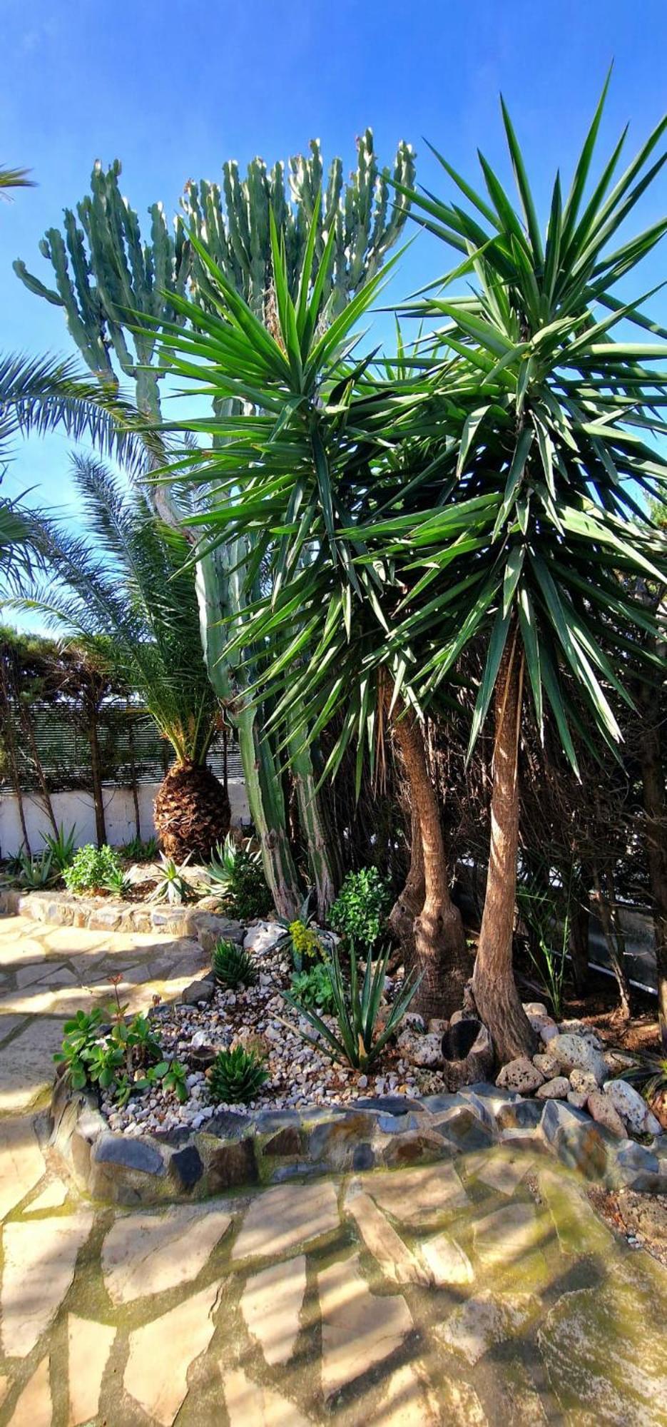 Casa Buganvilla L'Ametlla de Mar Exteriör bild